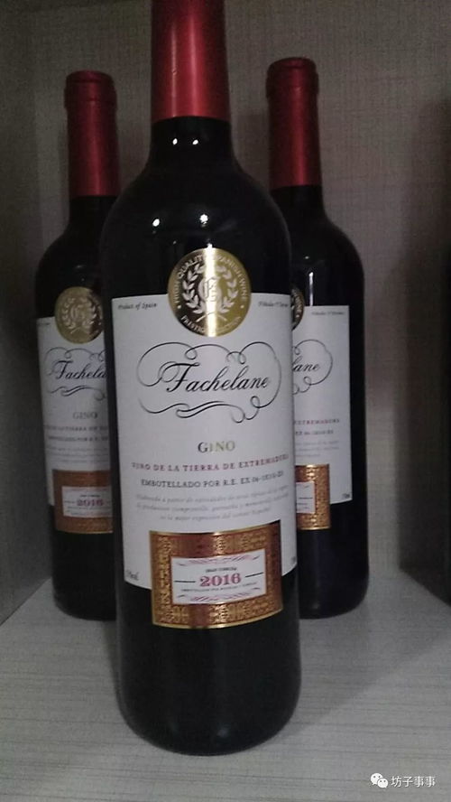 正宗法國紅酒卡蒂娜正式登陸坊子，坊子人盡享法蘭西醇香